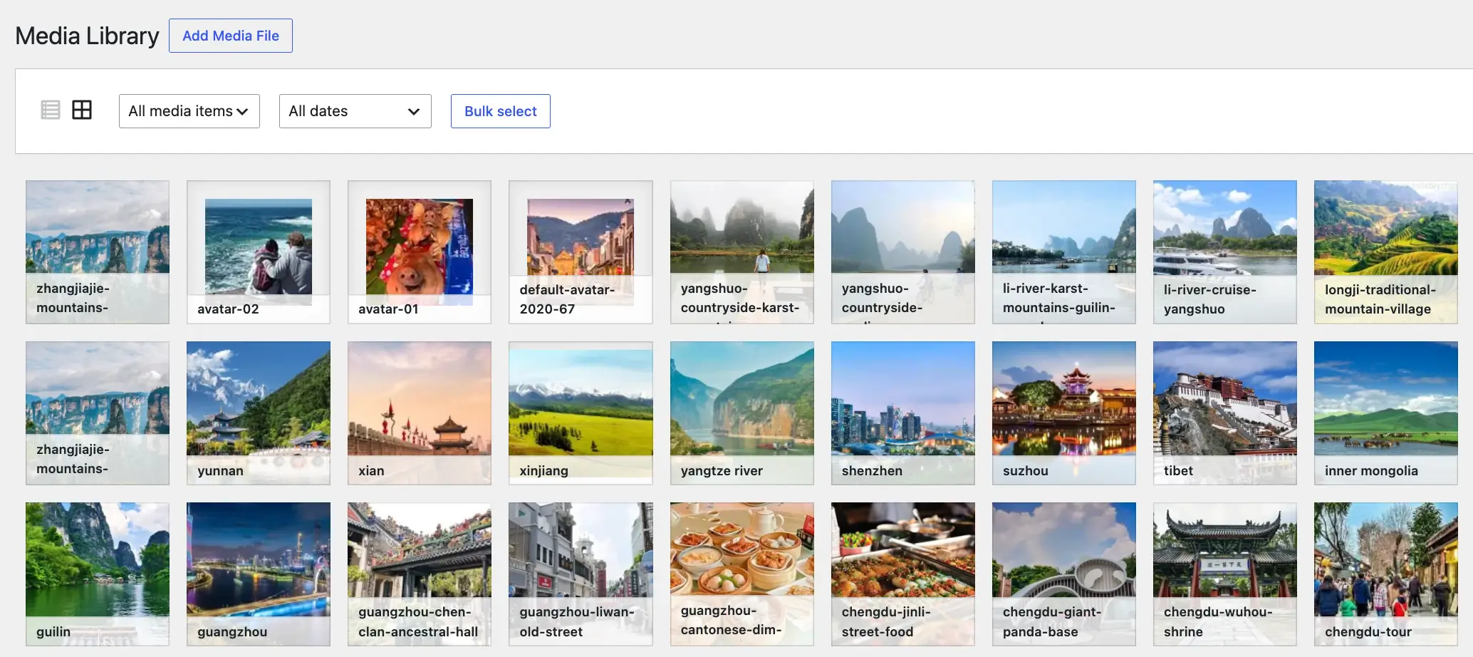 TourVoz Media Library 媒体库，用于上传、查看和管理网站图片素材